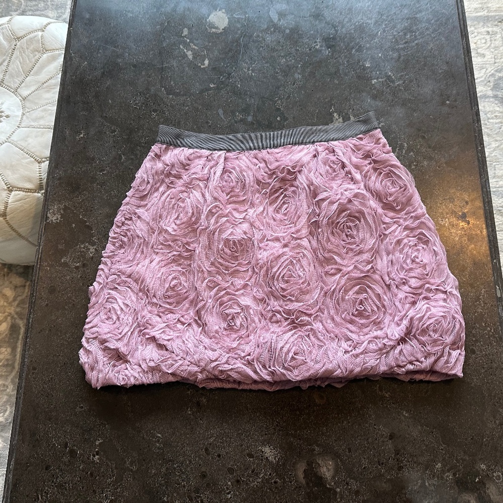NWOT JCrew mini skirt size 2